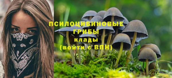 метадон Горняк