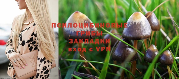 гидра Горно-Алтайск