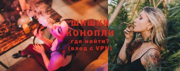 сатива Волосово