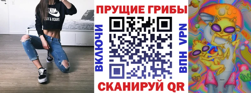 Псилоцибиновые грибы ЛСД  Купить где  Межгорье 