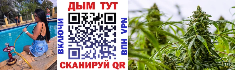 Марихуана THC 21% Купить где Межгорье